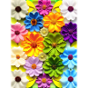 Blumen 50
