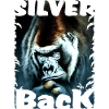 Silverback3