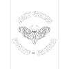 Light Seekers Logo Transparent