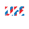 Vie Coiffeur Profession Coiffure