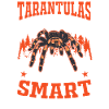 Tarantula Spider Tarantula