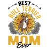 Bullterrier Mama Miniature Bull Terrier