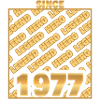 Year 1977