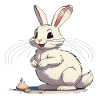 Cute Bunny
