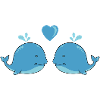Baleines amoureuses