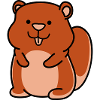 hamster