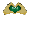 Saudi Arabia