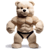 the muscle teddy bear
