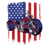 Trike bandiera americana triciclo motociclo a tre ruote