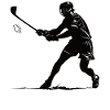 County Hurling Ireland Irish Sport Gaelic Sliotar