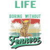 Fennek Geschenk Fennec Wüstenfuchs