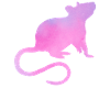 Maman rat