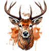 Wilderness Deer Graphic