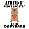 Capybara Wasserschwein Capybaras
