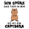 Capybara Wasserschwein Capybaras