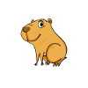 Capybara Wasserschwein Capybaras