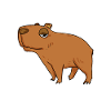 Capybara Animal Saying