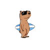 Capybara Wasserschwein Capybaras