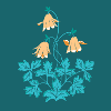 Columbine on petrol green