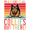 Cadeaux Collie