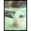 MEOW!