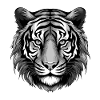 Tiger Portrait