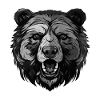 Portrait d’ours