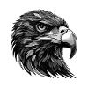 Eagle Portrait