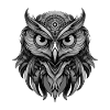 Owl Portrait