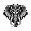 Portrait d’éléphant