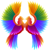 Phoenix of Hearts