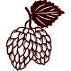 tannenzapfen