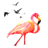 Art d’été aquarelle avec flamants roses