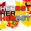 Herbstzauber Buntes Blattmuster