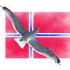 Norway Norge
