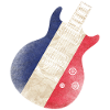 France Flag Guitar