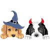 Golden Retriever und Bernhardinerwelpen