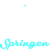 Turmspringen Springer
