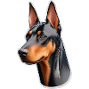 Doberman