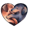 Heart full dachshund