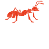 Ant Whisperer Ameisen Farm