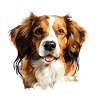 Kooikerhondje dans le style polygonal
