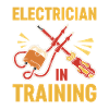 Électricien Electricité Master