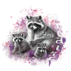 Waschbär Familie