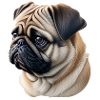 Pug