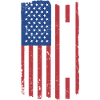 Beagle Us Flag