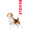 Beagle Us Flag