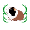 Guinea Pigs