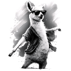 Llama Alpaca Animal Gift Idea
