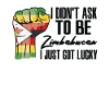 Fierté zimbabwéenne Drapeau zimbabwéen cultivé